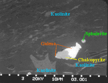 SEM photomicrograph showing chalcopyrite, galena, sphalerite and kaolinite filling voids in semifusinite