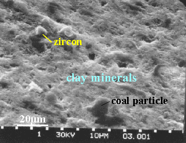 SEM photomicrograph of 10 micron zircon grain in shale parting