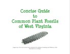 Concise Guide to Common Plant Fossils of WV