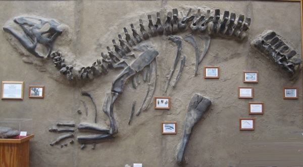 Edmontosaurus image