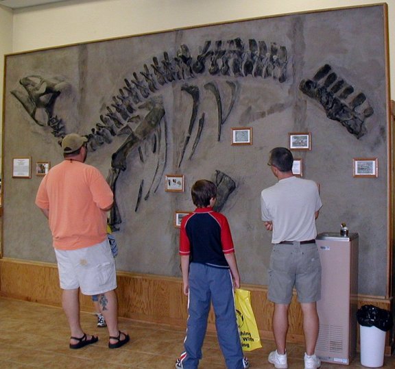 Edmontosaurus display draws visitors
