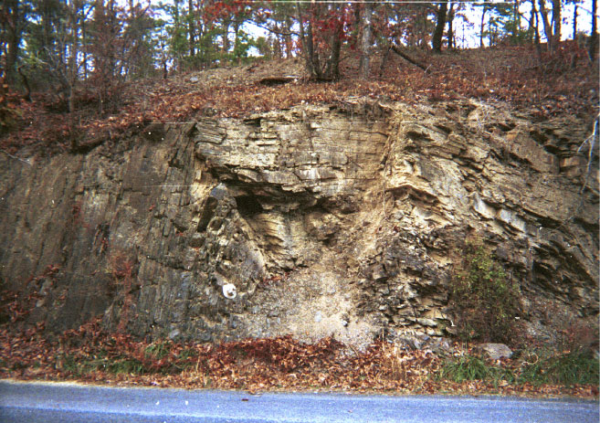 Siltstones of the Brallier Formation (Upper Devonian) along Dumpling Run Road