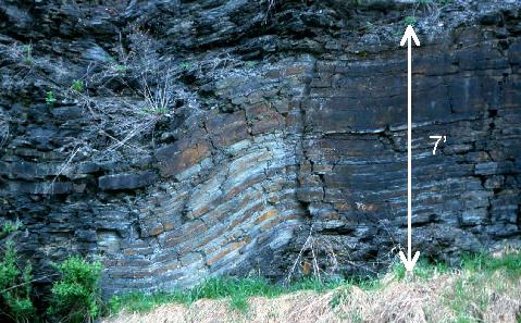 Another closeup view of deformation in the Brallier