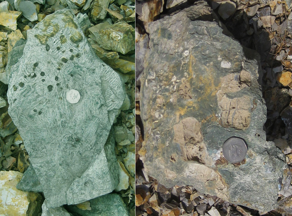 Float block of Bobs Ridge Sandstone w/ bioturbation; float block of Bobs Ridge Sandstone w/ chert nodule