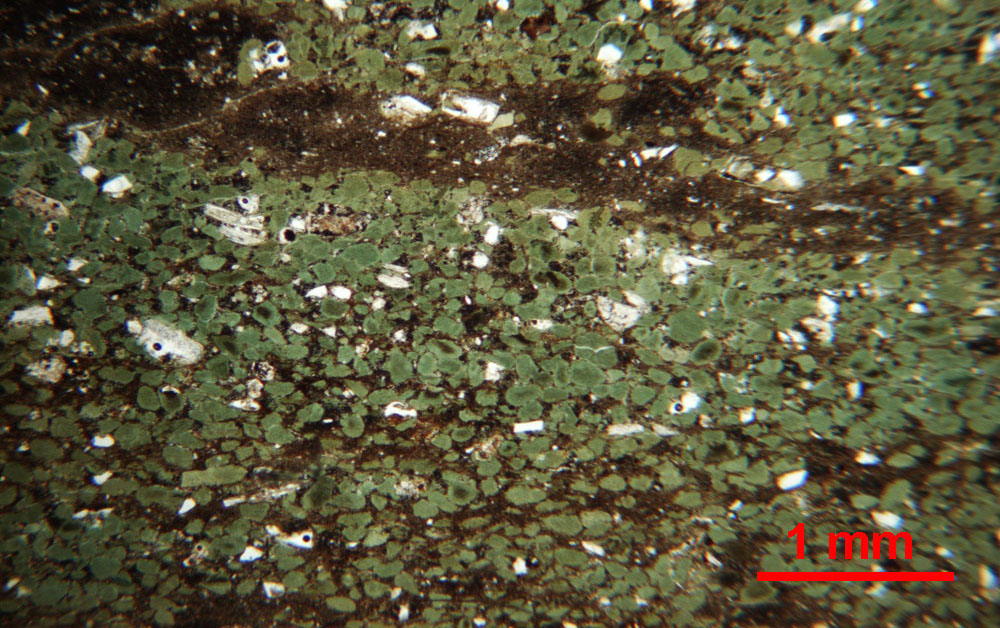 Photomicrograph of glauconite in Bobs Ridge sample (PK-7-09) from Cove Hill Quarry, northwest of Frost, WV