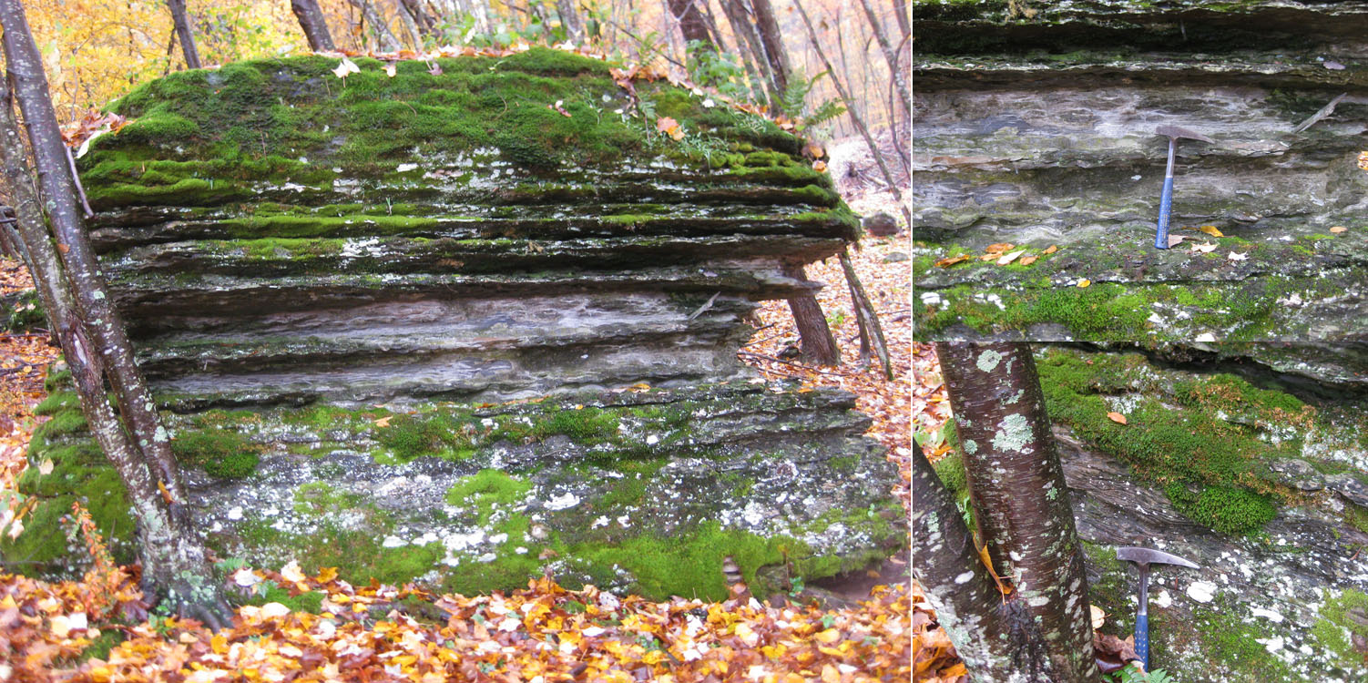 Flaser/wavy bedding in Bluefield dolomicrite west of Stony Bottom, WV; closeups flaser (top)and wavy bedding (bottom)