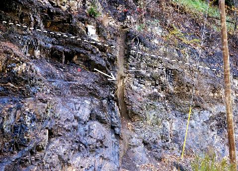 Porphyritic basalt dike in the Devonian Millboro Shale,
north of Brandywine, WV