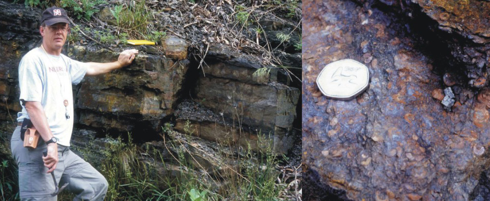 LEFT - Geologist examining typical outcrop of Silurian Keefer Formation, east of
Blue Grass, VA; RIGHT - Closeup of Silurian Keefer Formation, east of Blue Grass, VA showing iron 
mineralization and crinoid fragments