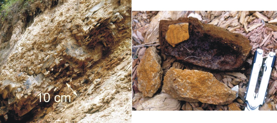 LEFT - Thin, diffuse Keefer zone south of Deer Run, WV; RIGHT - Examples 
of hand samples of Keefer from the Fort Seybert area