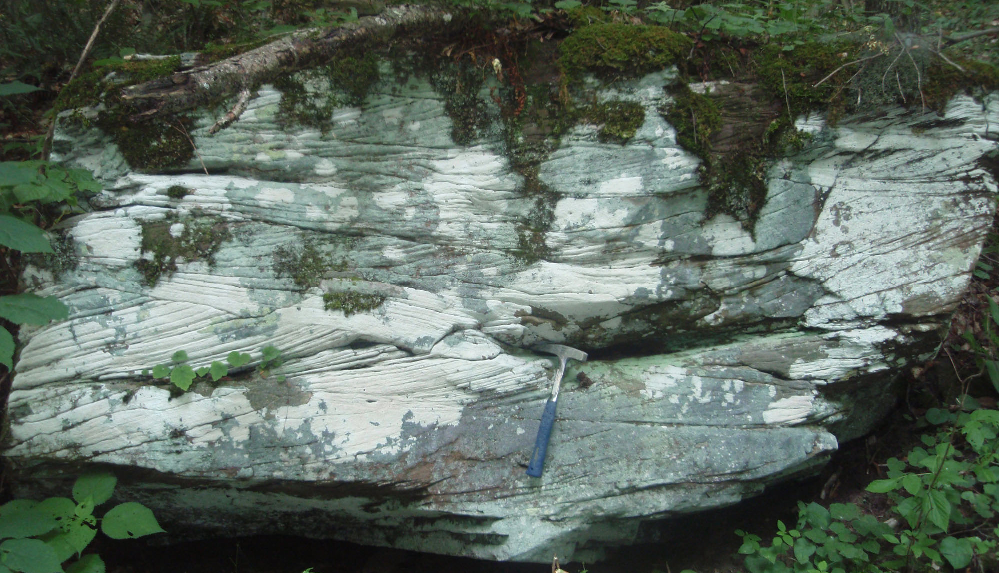 Cross-bedding the Devonian Hampshire Formation on Hightown quad