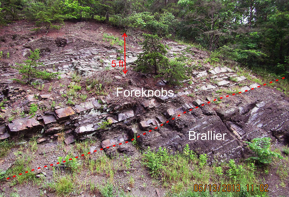 Devonian Minnehaha Springs Member of the Brallier Formation along WV 28, northwest of Huntersville, WV