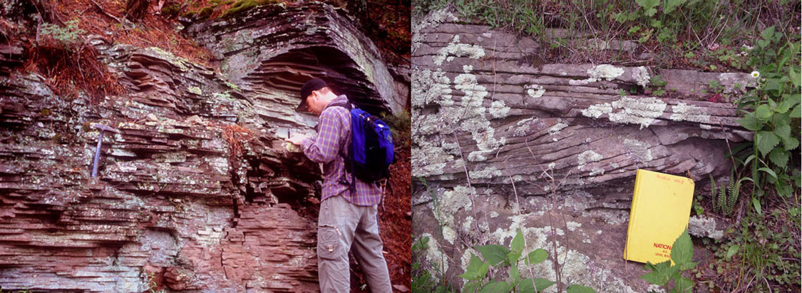 Examples of cross-bedding in the Devonian Hampshire Formation