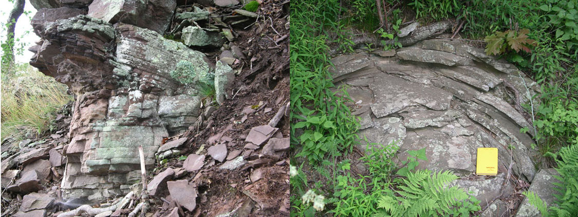 Examples of bedding and weathering in the Devonian Hampshire Formation