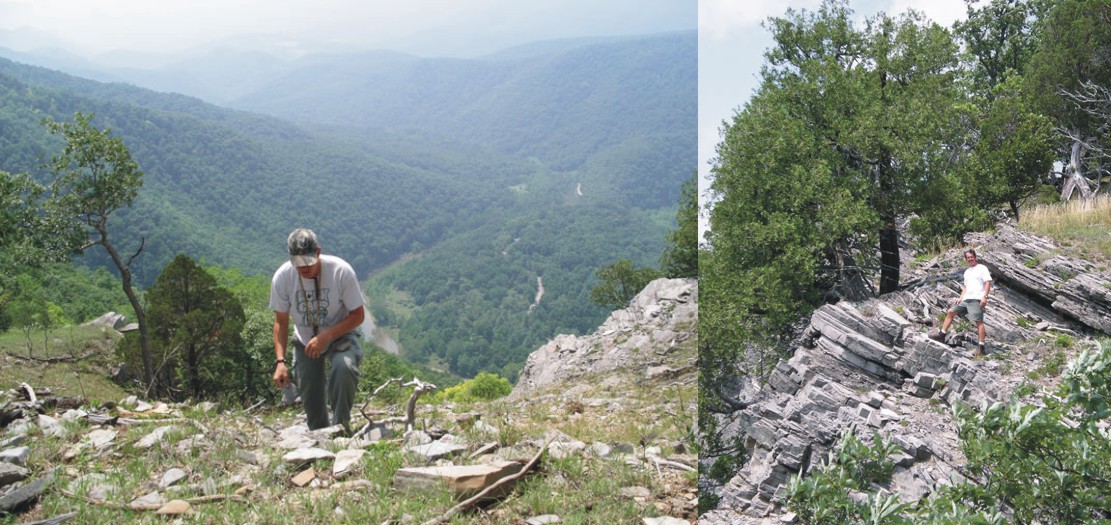 Two views of the Siluro-Devonian carbonates at the top of Cave Mtn., WV