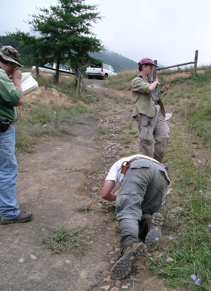 WVGES Geologists look for small fossils, Cave Mtn., WV