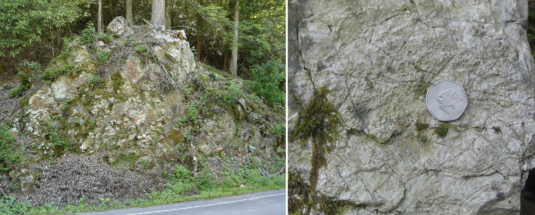 Tuscarora on southeast limb of Brown's Mtn. Anticline; Fracturing in Tuscararora