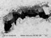 FIGURE A5-19.  SEM photographs of nonplanar (saddle) dolomite partially 
        		filling vugs in the same sample shown in Figure A5-16.