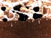 Figure 8C. Thin section photomicrograph of the hardground 
        surface that the geologist's finger points to in A.